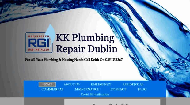 plumbingrepairdublin.com