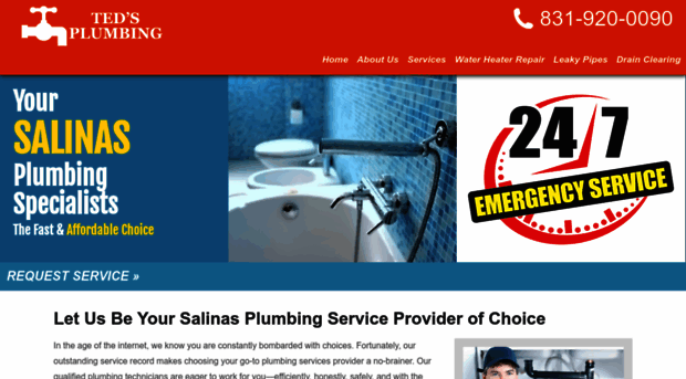 plumbingsalinas.com