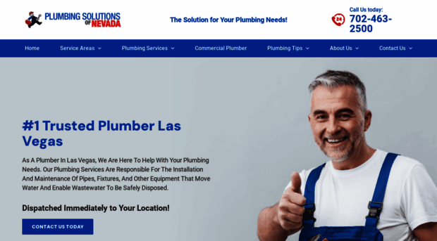 plumbingsolutionsofnevada.com