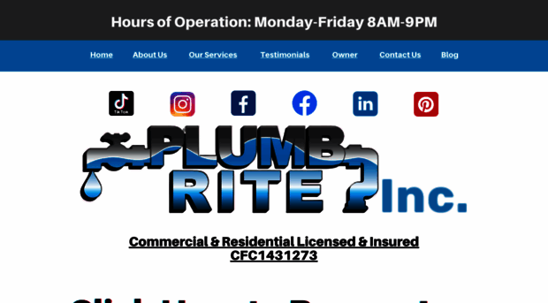 plumbriteinc.us