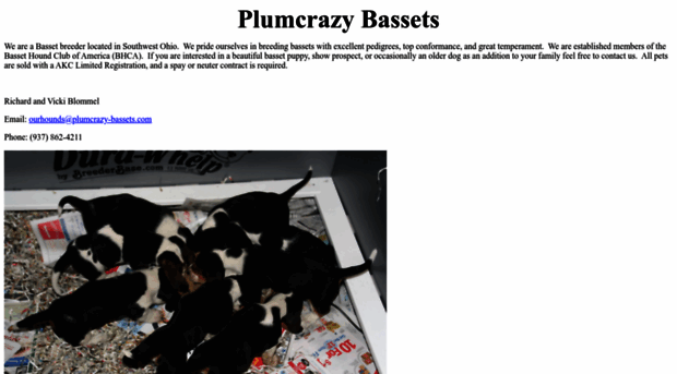 plumcrazy-bassets.com