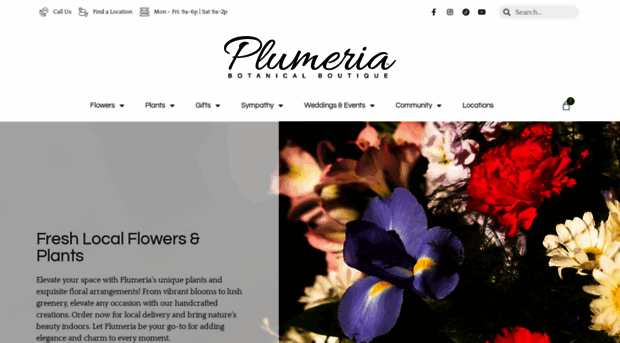 plumeriami.com