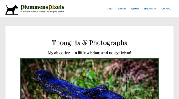 plummerspixels.com