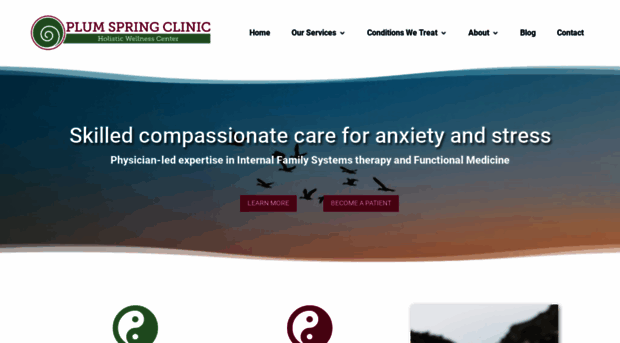 plumspringclinic.com