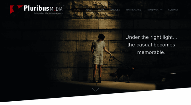 pluribusmedia.com