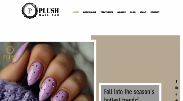 plushnailbartx.com