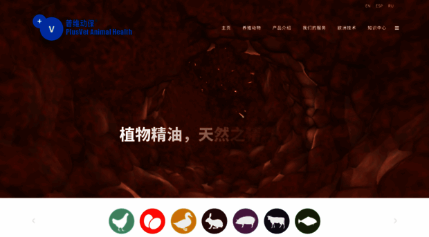 plusvet.cn