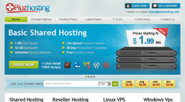 pluzhosting.com