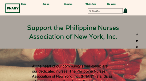 pnanewyork.org