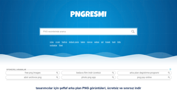 pngresmi.com