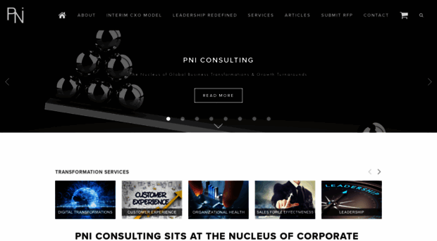 pniconsulting.com