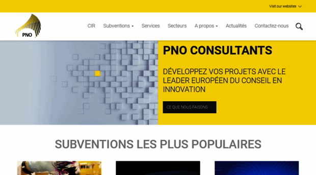 pnoconsultants.fr