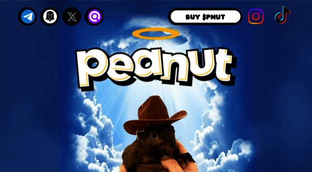 pnutsol.com
