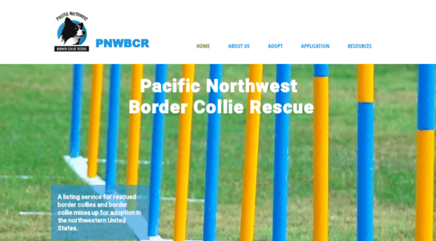 pnwbcrescue.org