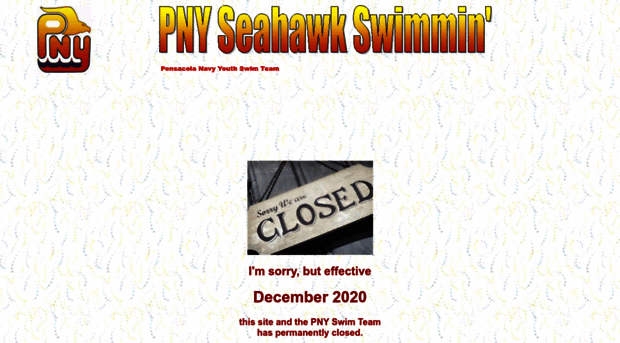 pnyswimteam.org