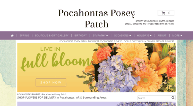 pocahontasposeypatch.com