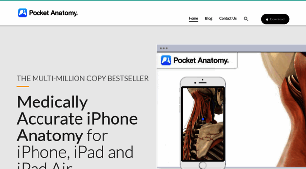 pocketanatomy.com