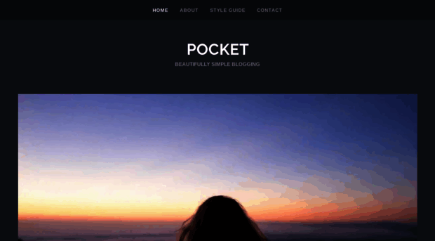 pocketdemo.wordpress.com