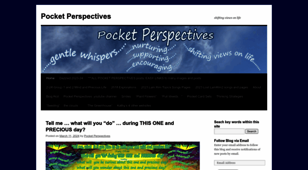 pocketperspectives.com