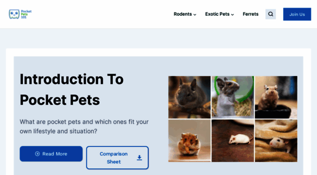 pocketpets101.com