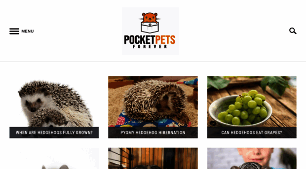 pocketpetsforever.com