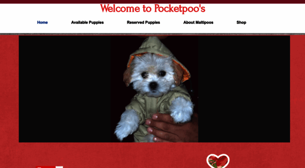 pocketpoos.com