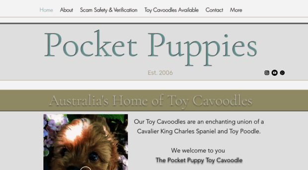 pocketpuppies.com.au