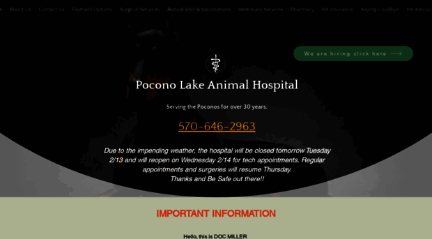 poconolakeanimalhospital.com