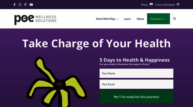 poewellnesssolutions.com