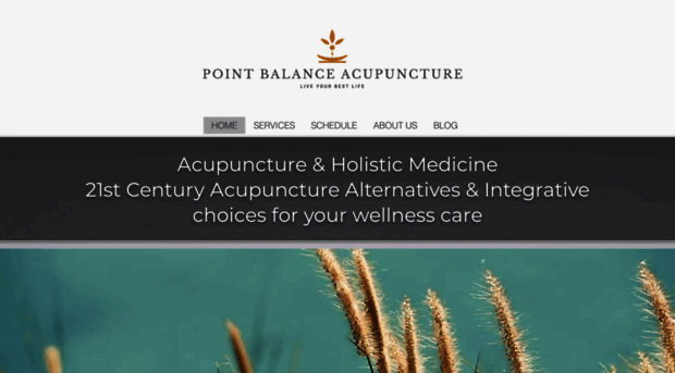 pointbalanceclinic.com