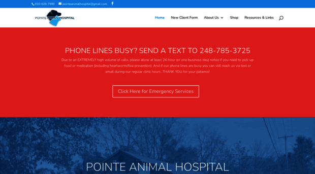 pointeanimalhospital.com