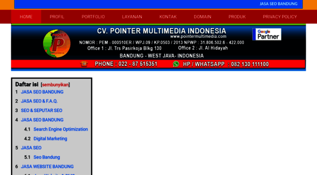 pointermultimedia.com