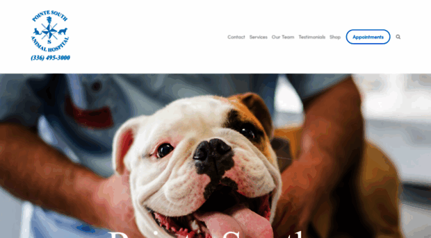 pointesouthanimalhospital.com