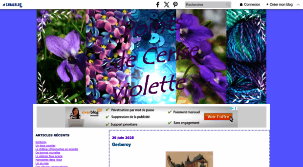 pointsdecerise.canalblog.com