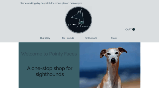 pointyfaces.com