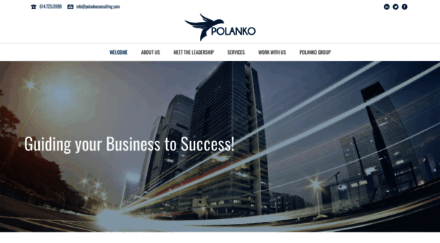 polankoconsulting.com