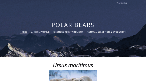 polar-bear-project.weebly.com