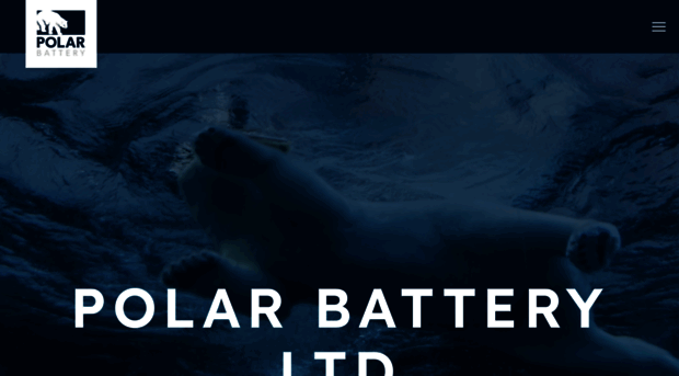 polarbattery.com