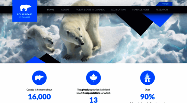 polarbearscanada.ca