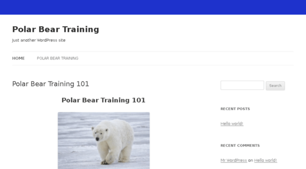 polarbeartraining.com