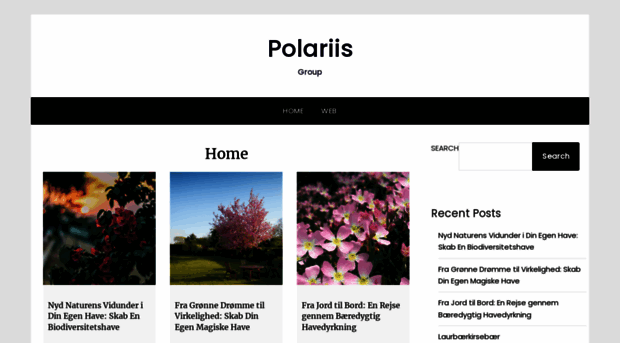 polaris-group.net
