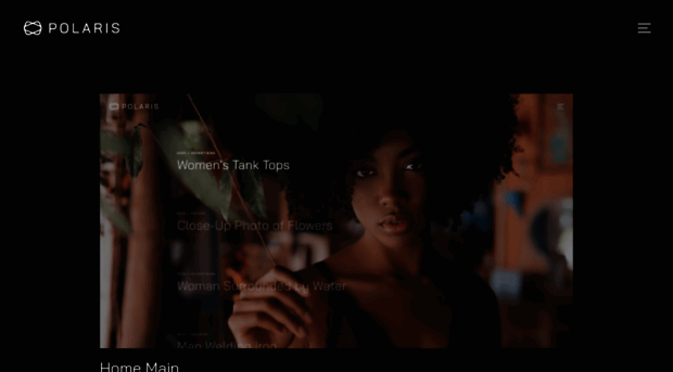 polaris-template.webflow.io