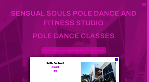 poledanceandfitness.com