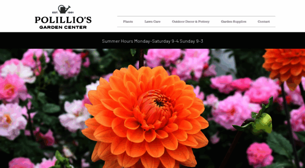 polillios.com