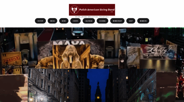 polishamericanstringband.com