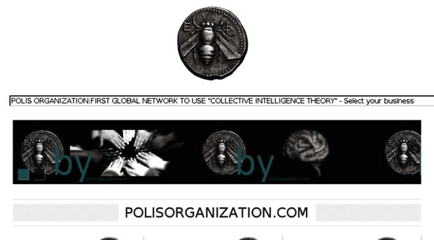 polisorganization.com