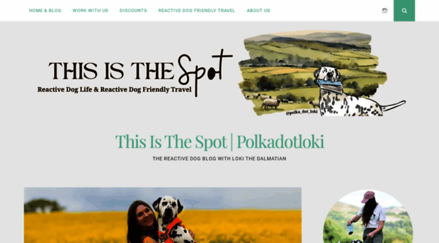 polkadotloki.com