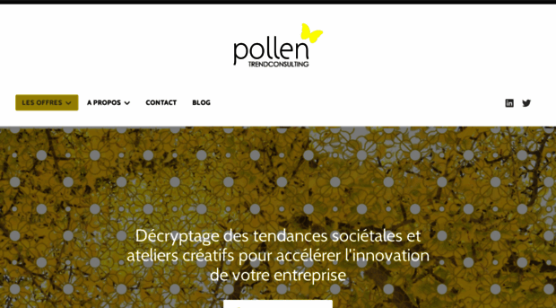 pollenconsulting.com