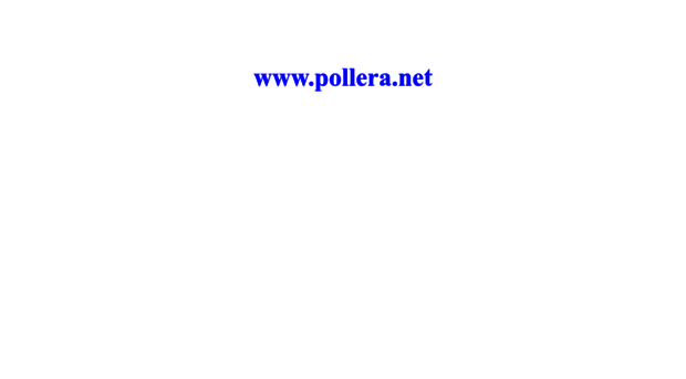 pollera.net