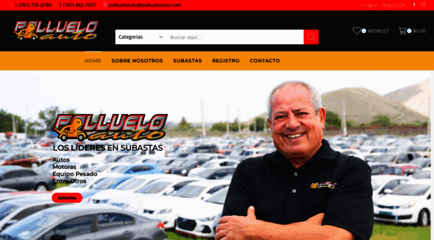 pollueloauto.com